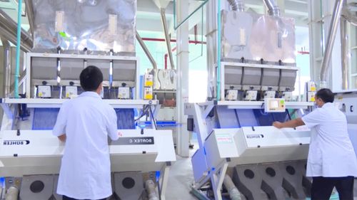 十三五成就巡禮 播州區多元營銷體系賦能綠色食品工業，教育投資奠基長遠發展
